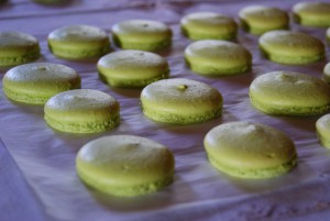 Coque pour macarons pistache